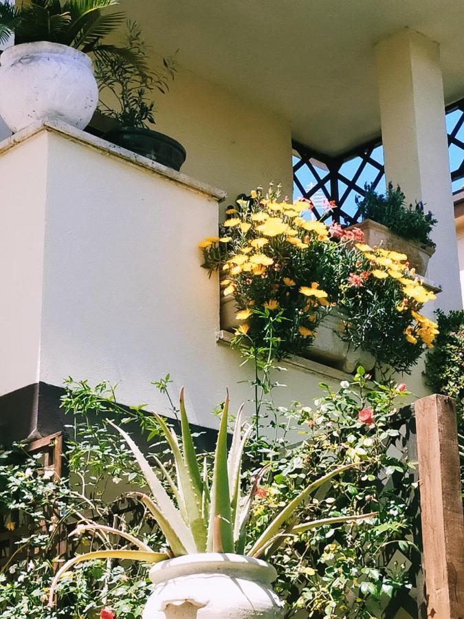 Luxury Apartment Magnolia Terrace フレジェネ エクステリア 写真