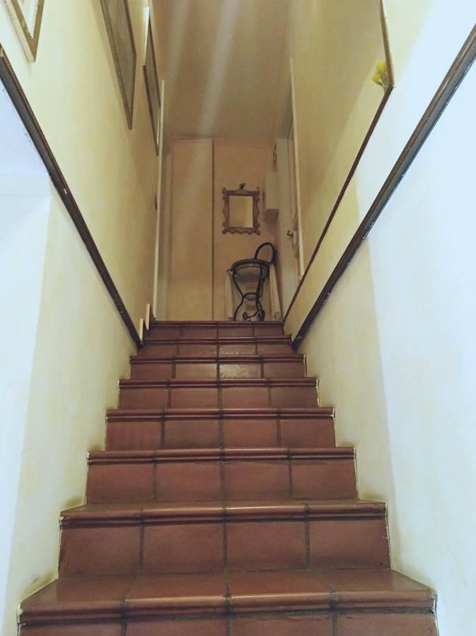 Luxury Apartment Magnolia Terrace フレジェネ エクステリア 写真